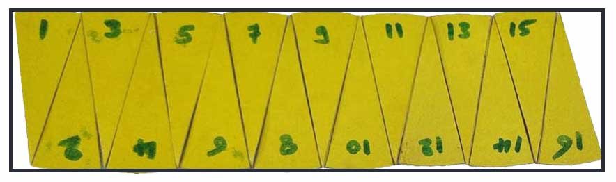 circle-activity6-blogs-做爰小说